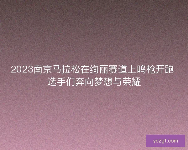 2023南京马拉松在绚丽赛道上鸣枪开跑 选手们奔向梦想与荣耀