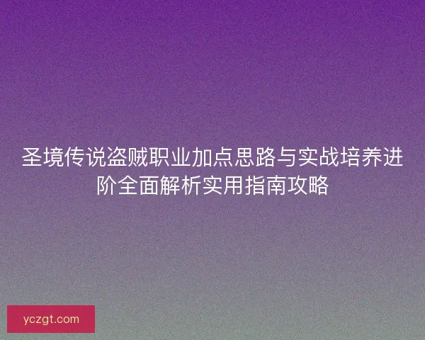 圣境传说盗贼职业加点思路与实战培养进阶全面解析实用指南攻略