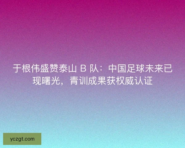 于根伟盛赞泰山 B 队：中国足球未来已现曙光，青训成果获权威认证