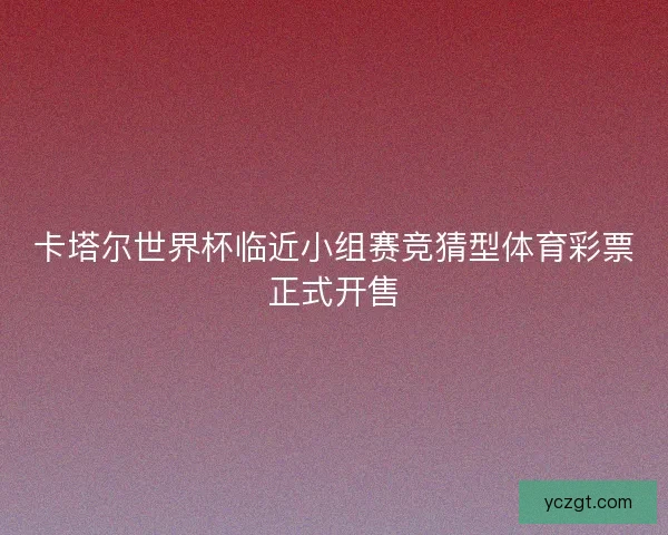 卡塔尔世界杯临近小组赛竞猜型体育彩票正式开售
